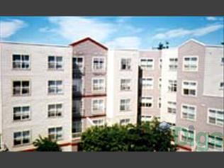 Linden Square